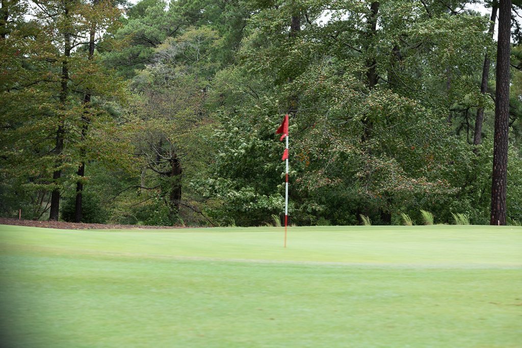 Golfing 2026